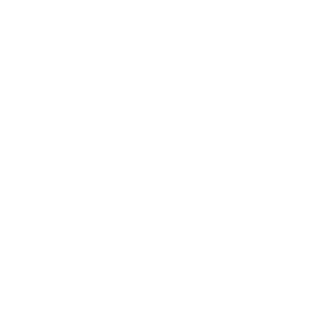 Paddle it Forward logo